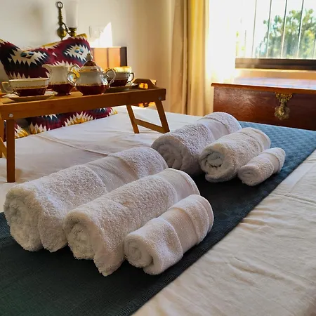 Evans Realty Al & Piscina & Garaje & Playa ヴィラ フエンヒロラ